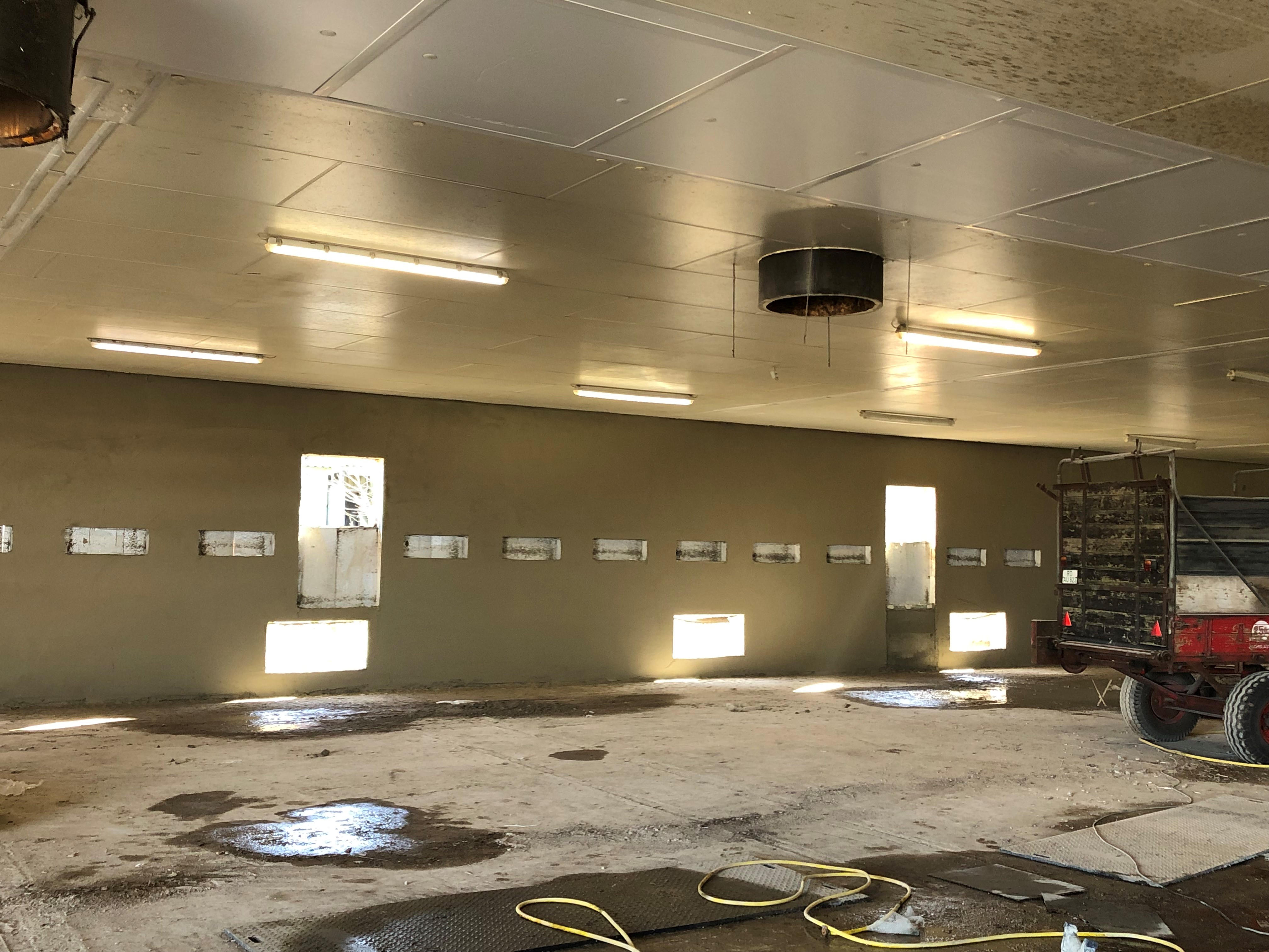 Umbau Schweinestall - Kalkzementputzarbeiten